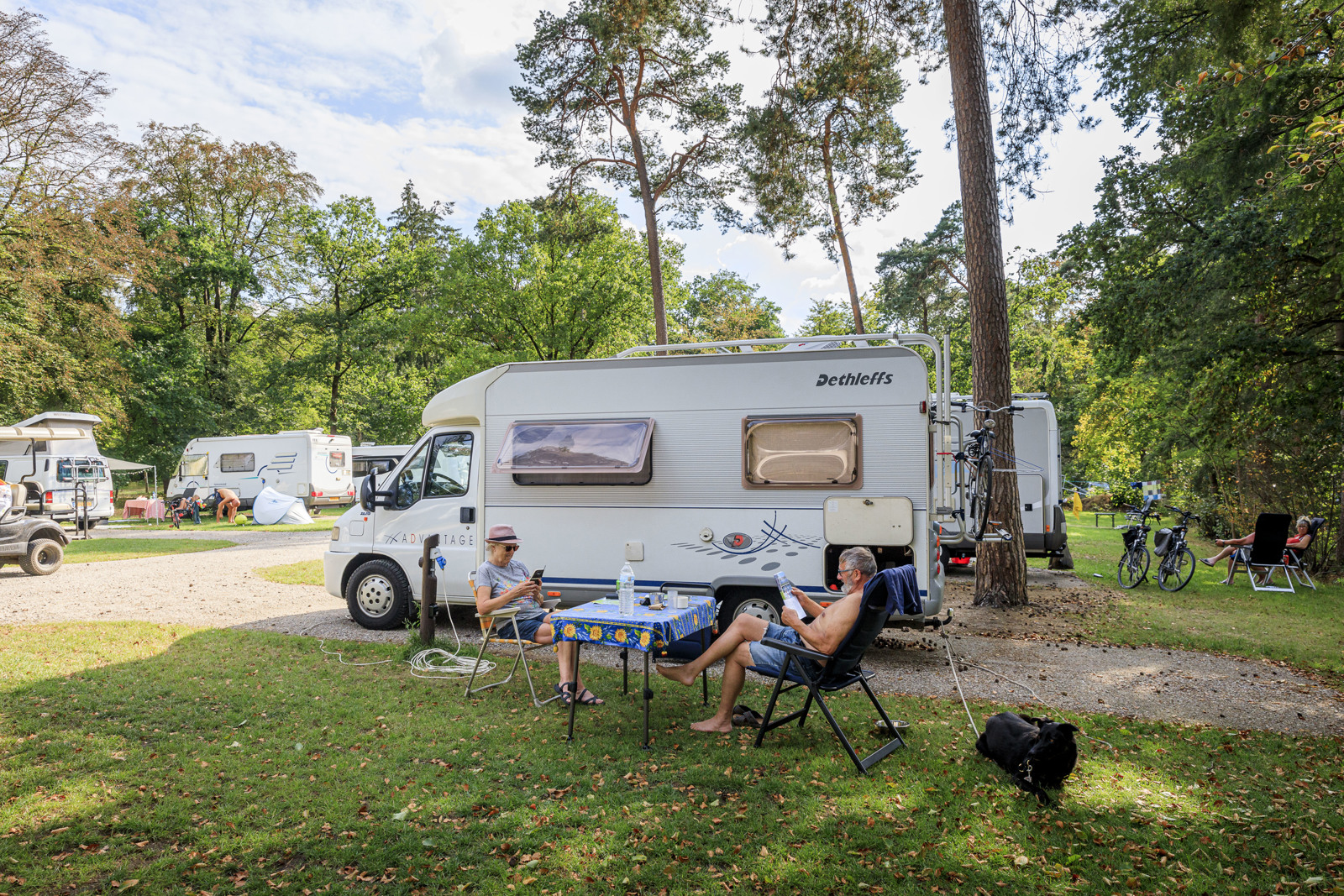 RCN het Grote Bos Camperplaats